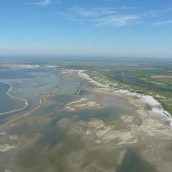 Flying over the French Camargue